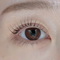 ラッシュリフト(Cite使用)👾コーティング仕上げ