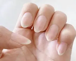 ハンド ジェルオフのみ