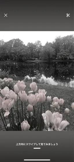 Aujuaシャンプー➕Aujua システムトリートメント🫧