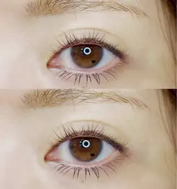 🫧オフなし🫧下エクステ40本 (詳細要確認)