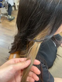 インナーカラー(イヤリング)orハイライト(8パネル)