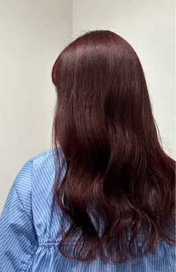 超音波アイロン＋トリートメント＋ヘアセット