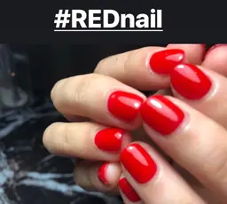 初回限定ワンカラー(オフ込み)