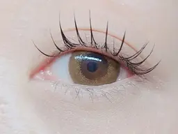 (オフ無料)フラットラッシュ100本＋コーティング付