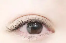 【新規】フラットラッシュ80本　（両目)　オフ込み