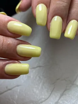 【人気No.3】ハンドネイル/ワンカラーorラメグラデーション/2色OK◎(オフ・ケア・パラジェル/LaShade込み)