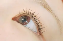 初回限定パリジェンヌリフト（ヒト幹細胞まつげケア・コーティング付）なめらかに根元を立ち上げスっと伸びたまつげを演出します