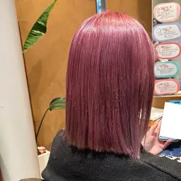 【ハイトーンメニュー🌷】メンテナンスカット・全体ブリーチ・全体カラー