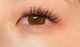 【minimo限定クーポン】バインドロック120束◆オフの有無は予約の際にお伝えください◆オフの料金は補足をご覧下さい