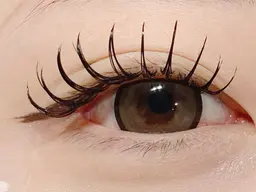 【ミニモ限定特別価格】パリエクで目元華やか✨パリジェンヌラッシュリフト✖️フラットラッシュ100本