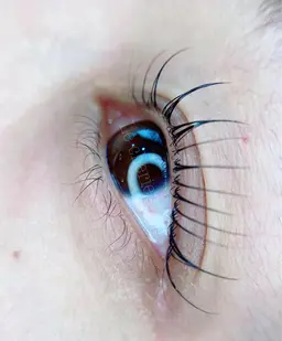 《SNS掲載用モデル》ラッシュリフト/上まつ毛