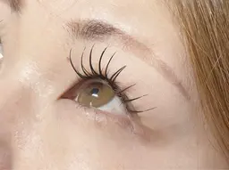 【持続力◎】バインドロック　80束