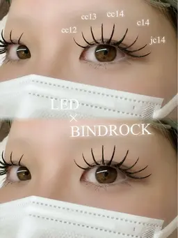 【OPEN価格】バインドロック 140束（280本）¥8800