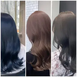 プレミアムダブルカラー