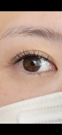 セーブル100本(オフ込み)