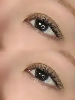 【ミニモ限定】【期間限定】フラットラッシュ100本