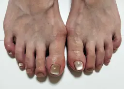 シンプルデザイン【オフ込み】