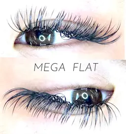 メガフラットラッシュ❤️60束❤️