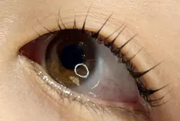 ✨️本日限定似合わせまつげパーマ✨️