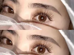 アンジュラッシュ120束　付け足し🉑　　　オフ+¥440　　　　　　　　　　（500​〜​600本アイパック込み）