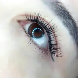 【ミニモ限定】LED込み/フラットラッシュ120本/上のみ　¥3980