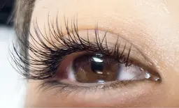 2月1日から利用可：フラットラッシュ120本🌟