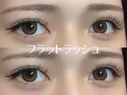 限定フラットラッシュ120本