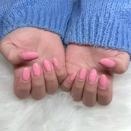 ワンカラー (オフなし)