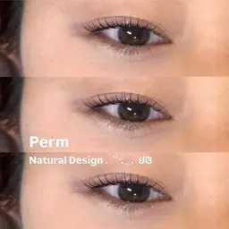 ご新規様限定🐻‍❄️まつ毛パーマ🐻‍❄️