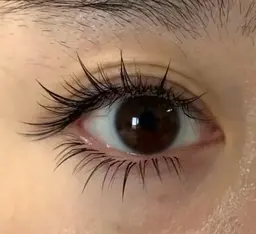 【中華ワンホン】フラットラッシュナチュラル