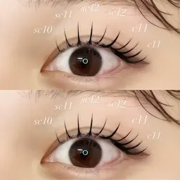 【フラットラッシュ】100本