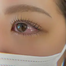 【12/21まで限定！】🌟大人気🌟🤎アイブロウ&まつ毛カール上🤍