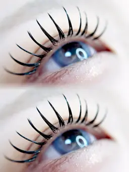 【アンドヘルシー100本】14780→13280