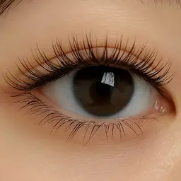 【堺市駅】フラットラッシュつけ放題140本~(オフ込)¥5,500