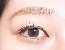 パリジェンヌラッシュリフト上下（アイシャンプー付き）