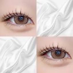 <ｵｽｽﾒ>【💎フラットラッシュ💎】[80本]