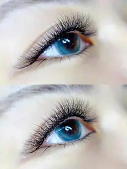 🉐NEWデザインクローバー80束ボリュームラッシュ