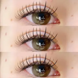 🍀8月限定🍀フラットラッシュオフ込み160本¥6200