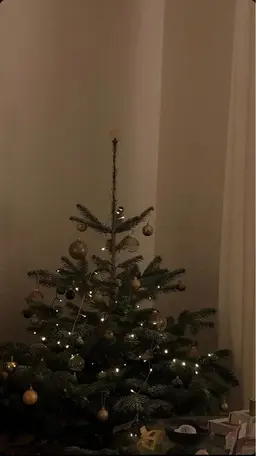 «期間限定🎫ˊ˗»フラットラッシュ120本＋下まつげエクステ~30本