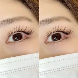 💫期間限定💫バインドロック80束🪄