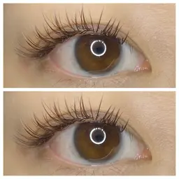 当日予約限定🍬フラット120本4500円🍭