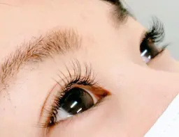 本日限定☆嬉しいoff込みフラットラッシュ120本 ￥3500