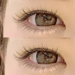 🌺バインドロック80束(総数240本)ミニモ限定クーポン⚠️必ず注意事項をご確認ください