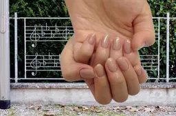 オフありワンカラー（パーツなし）