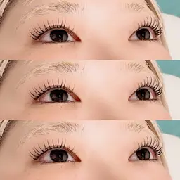 🕊ご新規様限定🤍パリジェンヌラッシュリフト🪽※補足説明を必ずお読み下さい🏷