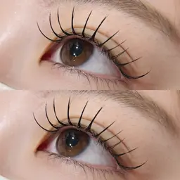 🧡♥️フラットラッシュマツエク​〜​120本までオフ無料♥️🧡