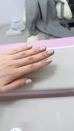 オフなし、ワンカラ－のみ