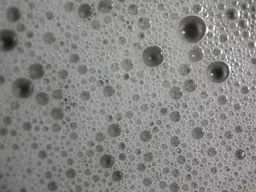 🎀【お出かけ前のスタイリング】🎀シャンプー&スタイリング🫧(ストレートorコテ巻き仕上げ)ブロー込み