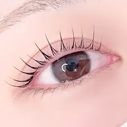 ︎【‼️先着1名限定‼️】パリジェンヌor まつ毛パーマ 🤍アイシャンプー✨トリートメント✨️コーティング🤍