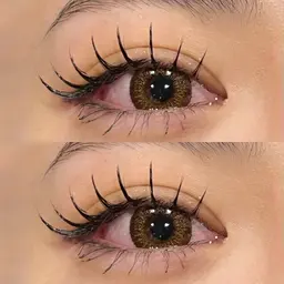 🦊フラットラッシュ🦊100本までつけ放題 ✨(オフ・コーティング込み)